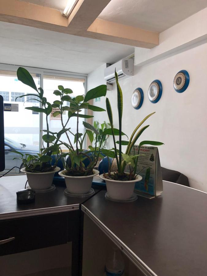 קנקון Hotel Suites La Roca מראה חיצוני תמונה